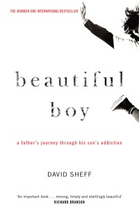 Image of Beautiful Boy