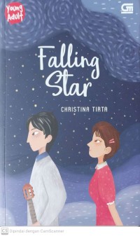 Image of Falling star