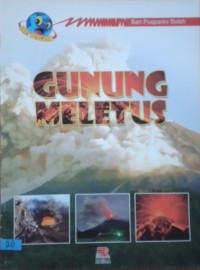 Image of Gunung meletus