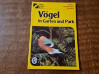 Image of Vogel in Garten Und Park