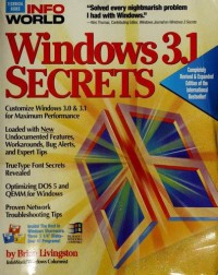 Image of Windows 3.1 secrets